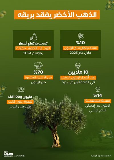 WhatsApp Image 2025-11-08 at 1.31.28 PM