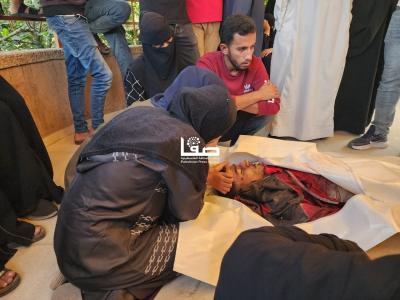 photo_2025-11-24_14-09-20