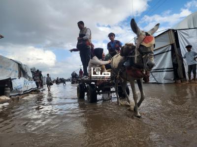 photo_2025-11-26_09-53-02