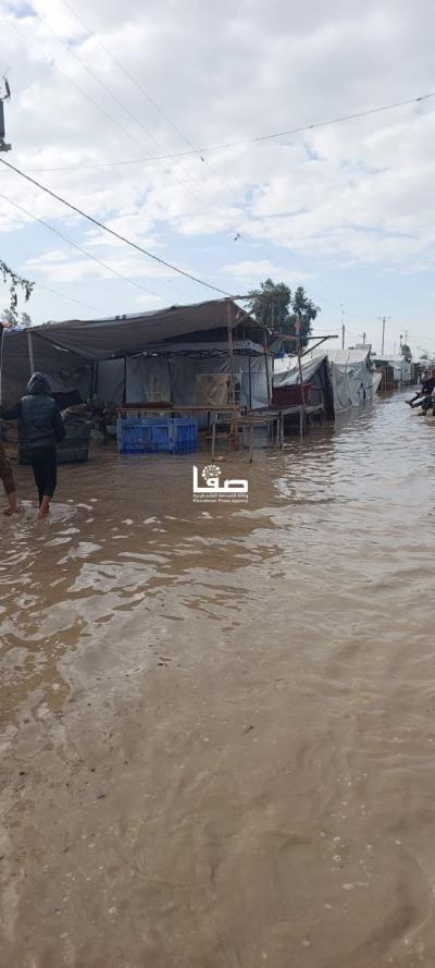 photo_2025-11-17_10-29-57