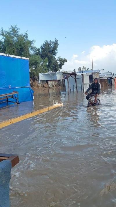 photo_2025-11-17_11-05-09