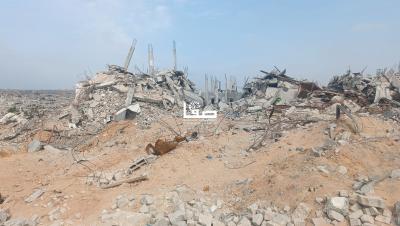 WhatsApp Image 2025-11-03 at 2.06.02 PM