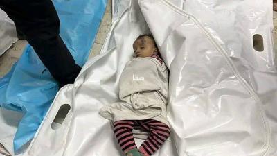 photo_2025-11-20_09-58-44