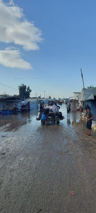 photo_2025-11-17_11-05-11