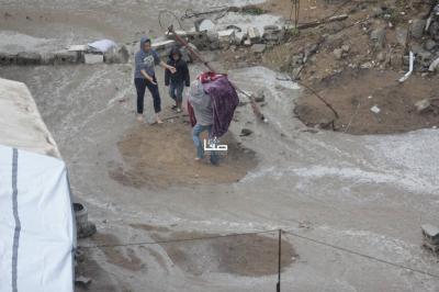 photo_2025-11-17_11-06-45