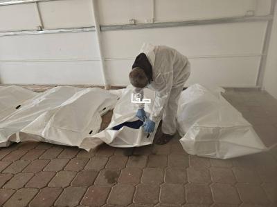 photo_2025-11-01_10-02-04