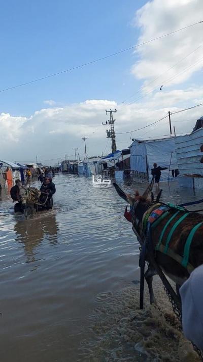 photo_2025-11-17_11-05-14