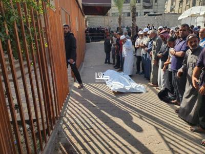 photo_2025-11-24_14-09-09