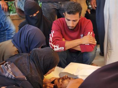 photo_2025-11-24_14-09-21