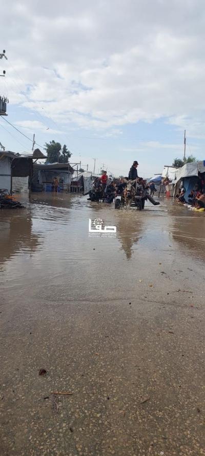 photo_2025-11-17_10-29-55