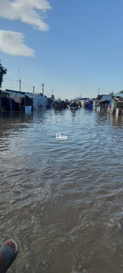 photo_2025-11-17_11-05-24