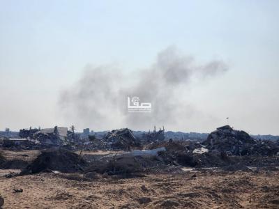 photo_2025-11-17_11-08-00