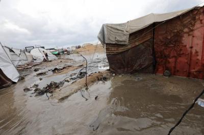 photo_2025-11-17_11-06-50