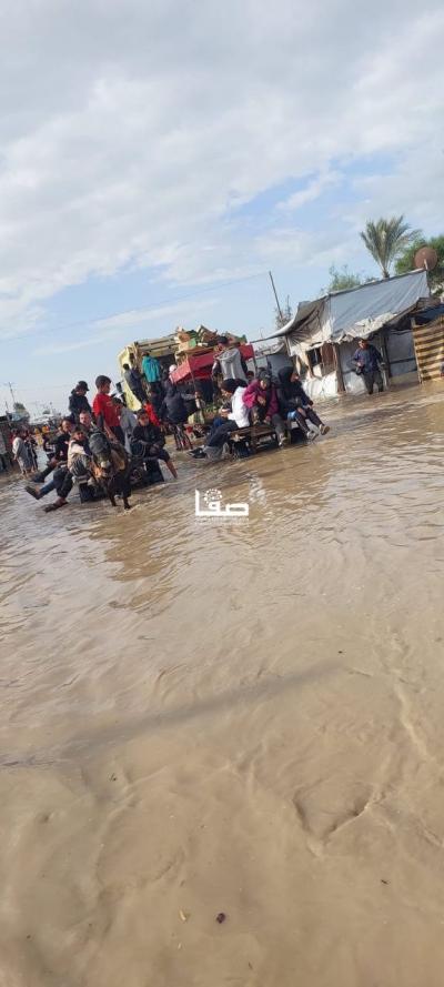 photo_2025-11-17_10-29-49