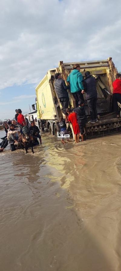 photo_2025-11-17_10-29-47