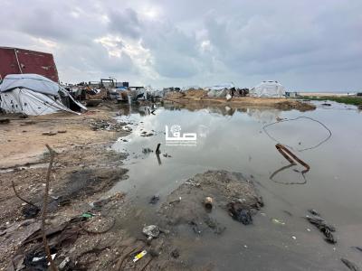 photo_2025-12-13_12-25-46