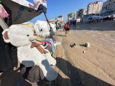 photo_2025-12-20_12-46-42