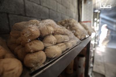 031225_Nusairat_MS_00(28)