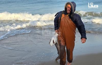 311225_Khan_yunes_TM_00(28)