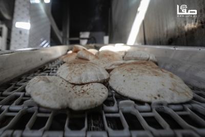 031225_Nusairat_MS_00(14)