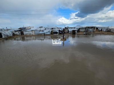 photo_2025-12-29_10-47-54