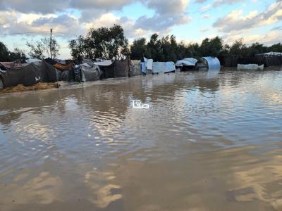 photo_2025-12-29_10-48-01