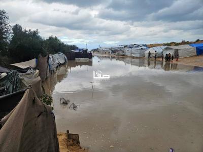 photo_2026-01-03_10-40-57