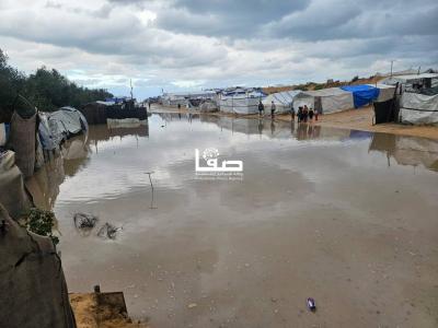 photo_2026-01-03_10-40-51