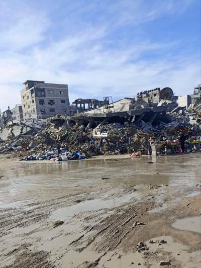 photo_2026-01-05_11-47-52