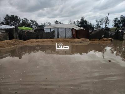 photo_2026-01-03_10-41-01