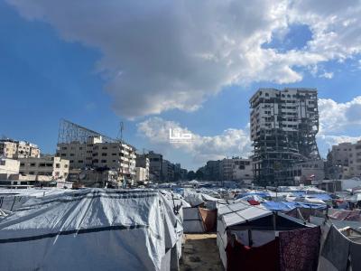 photo_2026-01-19_11-23-16