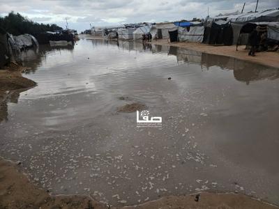 photo_2026-01-03_10-40-45