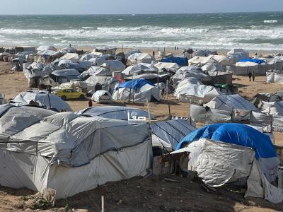 photo_2026-01-10_10-54-26