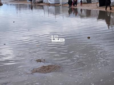 photo_2026-01-03_10-41-02