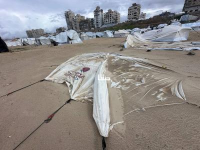 photo_2026-01-10_10-54-43