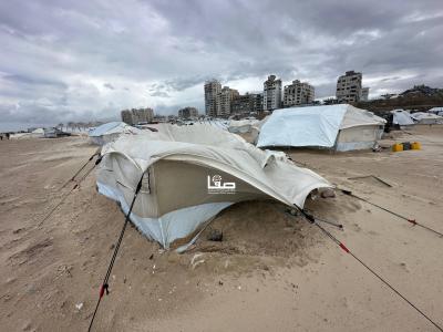 photo_2026-01-10_10-54-24