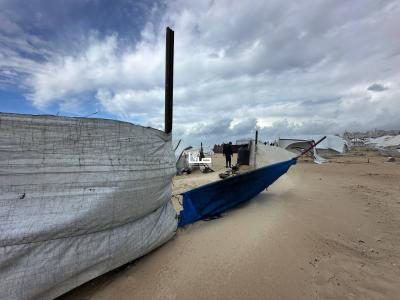 photo_2026-01-10_10-54-19