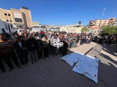 photo_2026-01-12_12-46-00