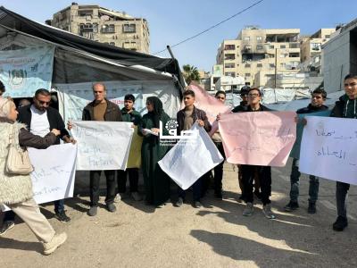 photo_2026-01-03_10-21-37