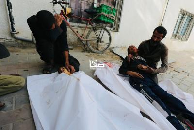 WhatsApp Image 2026-01-24 at 2.41.30 PM