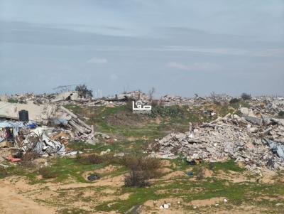 photo_2026-01-03_10-29-18