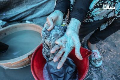 120126_Bureij_MS_00(18)