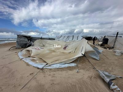 photo_2026-01-10_10-54-38