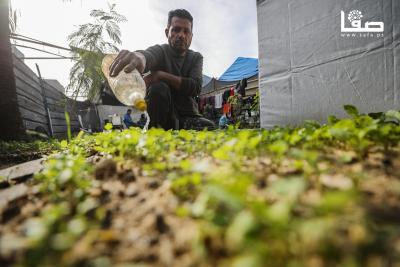 040126_Gaza_OSH_00(18)