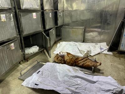 photo_2026-01-31_10-59-02