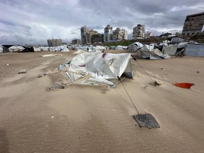 photo_2026-01-10_10-54-28