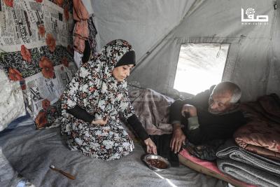 120126_Bureij_MS_00(5)