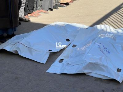 photo_2026-01-12_12-45-55