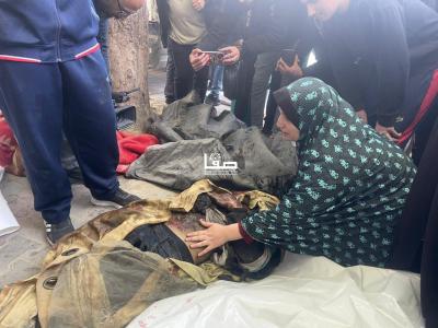 photo_2026-01-31_13-04-44