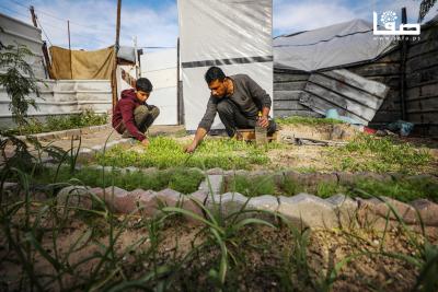 040126_Gaza_OSH_00(15)